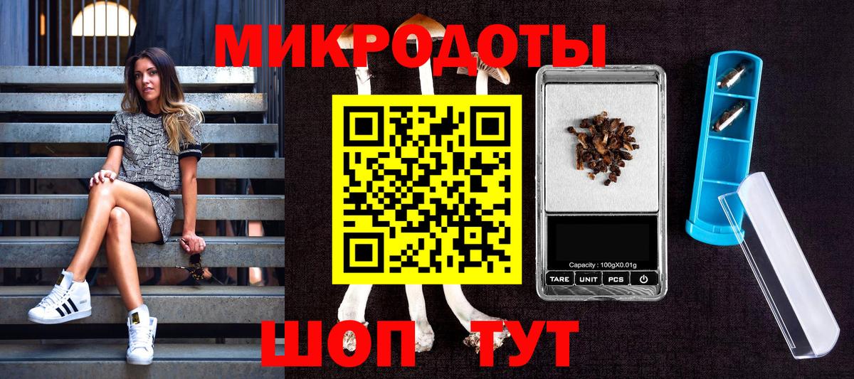 Псилоцибиновые грибы Psilocybe  Вход с VPN  Волгодонск 